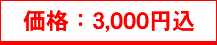 価格：3,000円込