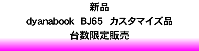 新品 dyanabook BJ65 カスタマイズ品 台数限定販売